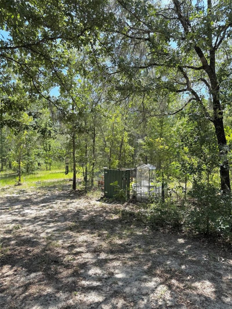 5331 SE 122 Avenue , Morriston, FL 32668 Photo