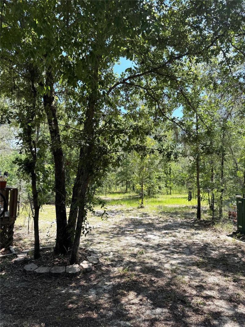5331 SE 122 Avenue , Morriston, FL 32668 Photo