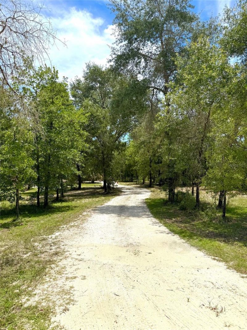 5331 SE 122 Avenue , Morriston, FL 32668 Photo