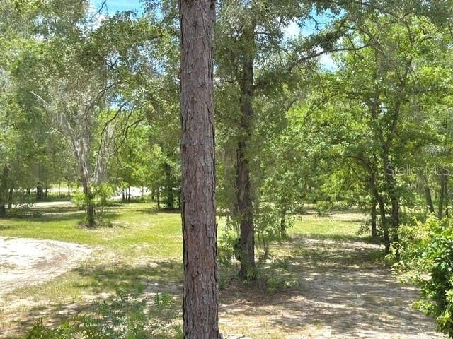 5331 SE 122 Avenue , Morriston, FL 32668 Photo