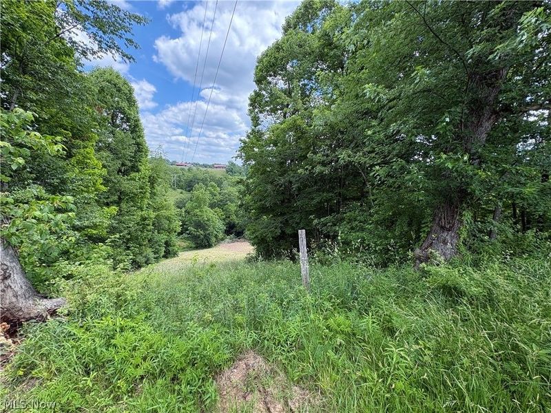 49628 Cain Ridge Road, Clarington, OH 43915 Photo 42