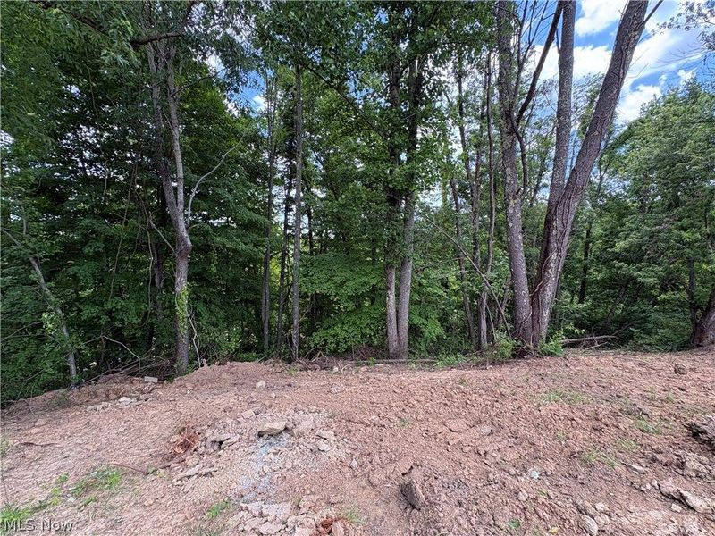 49628 Cain Ridge Road, Clarington, OH 43915 Photo 45