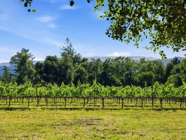 0 Miller Hill Road, Los Gatos, CA 95033