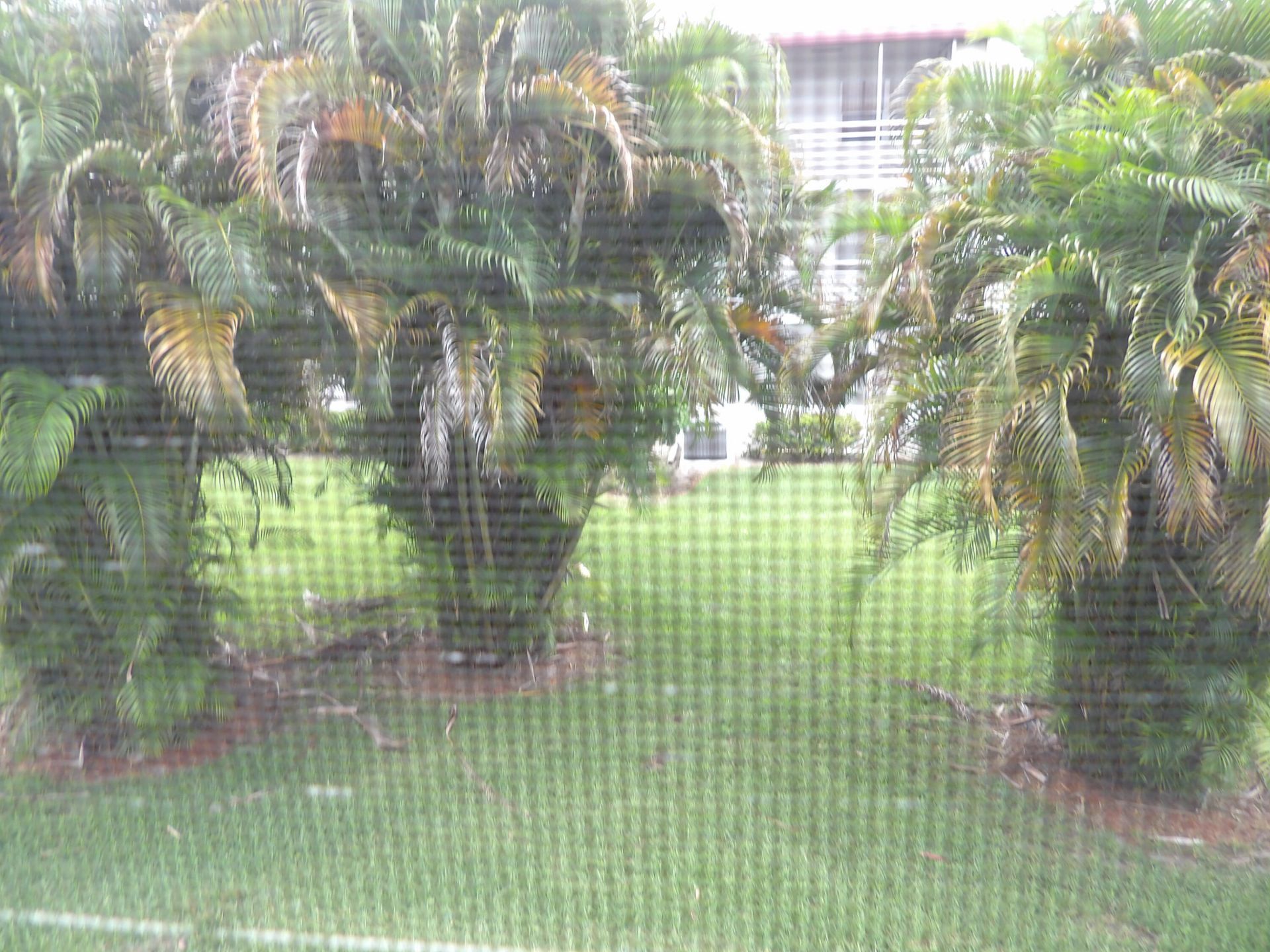 195 Fanshaw Way E, Unit 195, Boca Raton, FL 33434 Photo