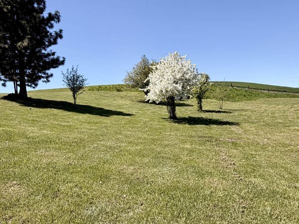 107 S 10th, Garfield, WA 99130