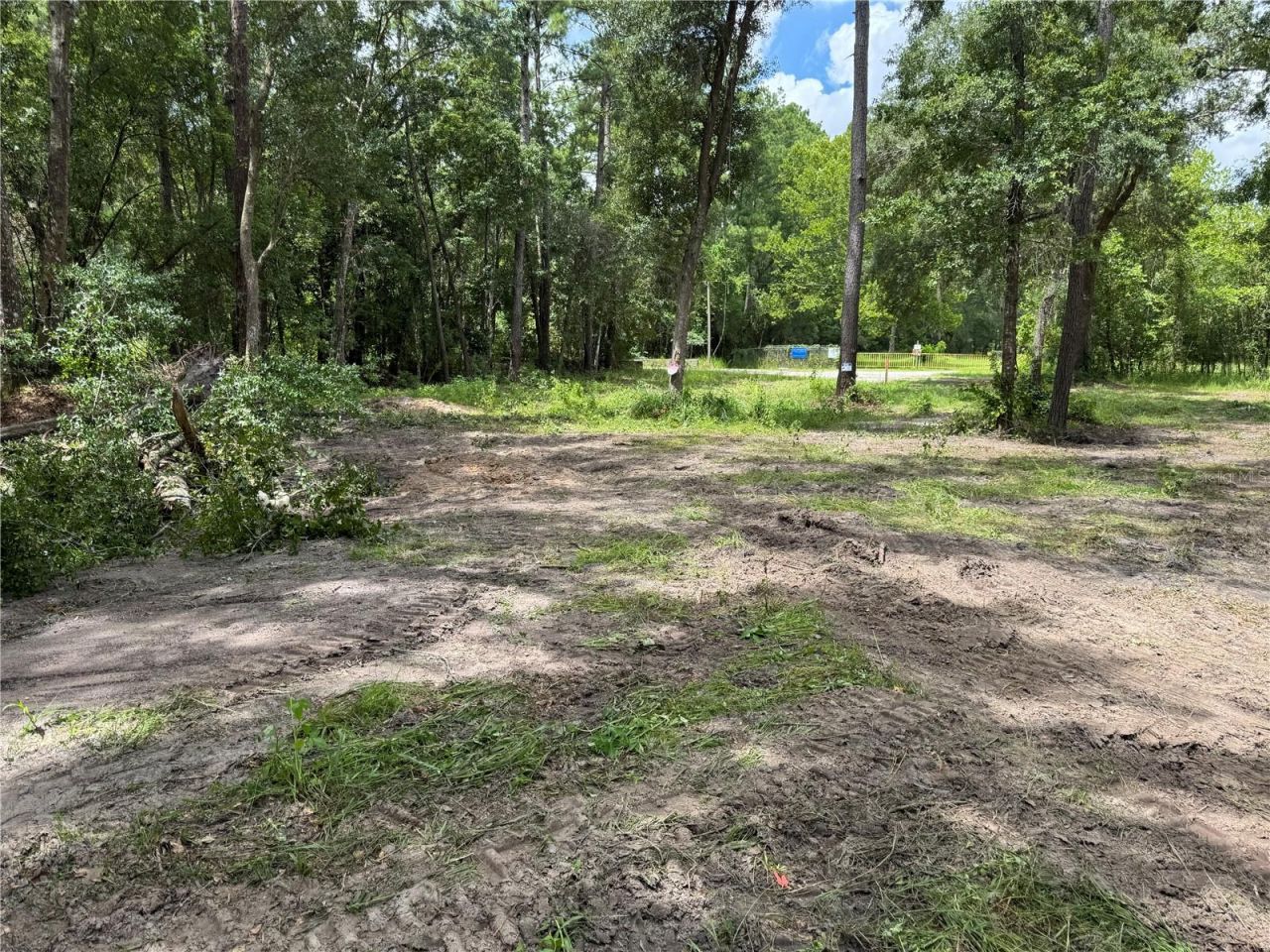 Tbd , Waldo, FL 32694 Photo