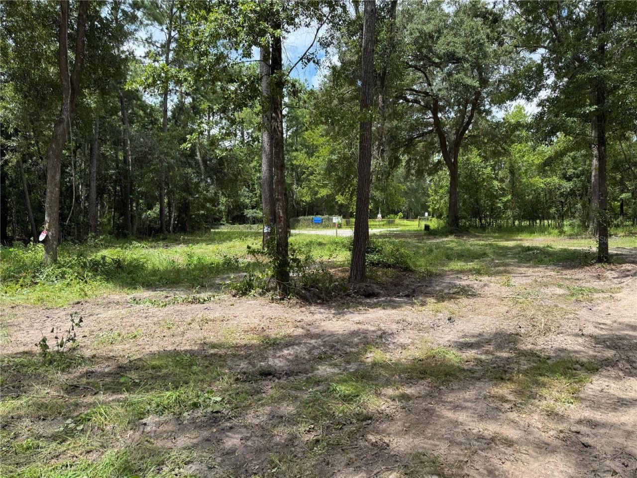 Tbd , Waldo, FL 32694 Photo