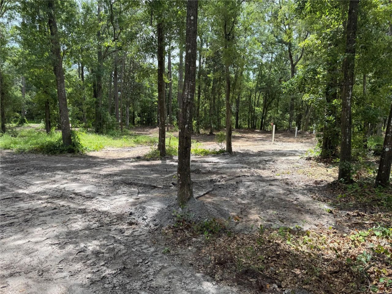Tbd , Waldo, FL 32694 Photo