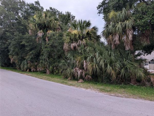 WEEKI WACHEE, FL 34607