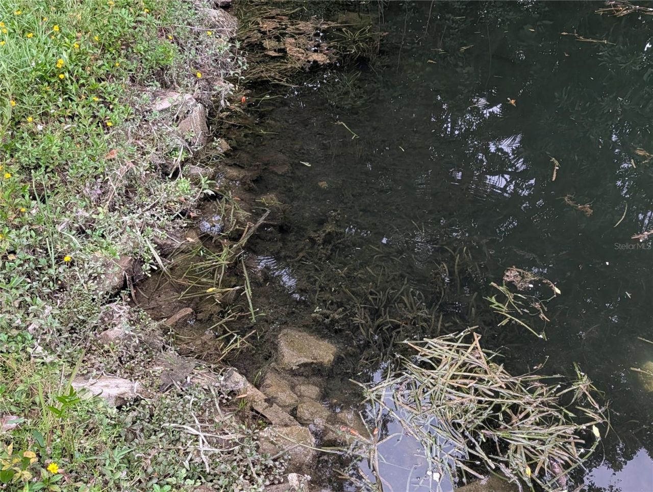 Please Call For Address, Weeki Wachee, FL 34607 Photo