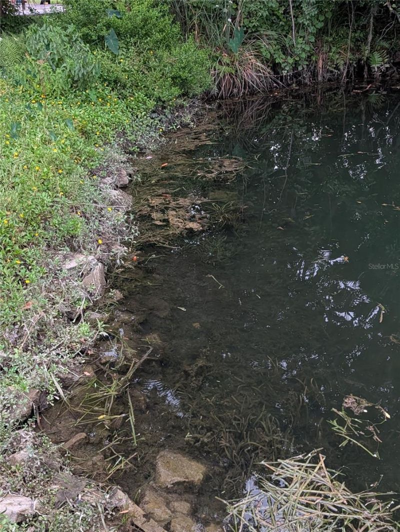 Please Call For Address, Weeki Wachee, FL 34607 Photo