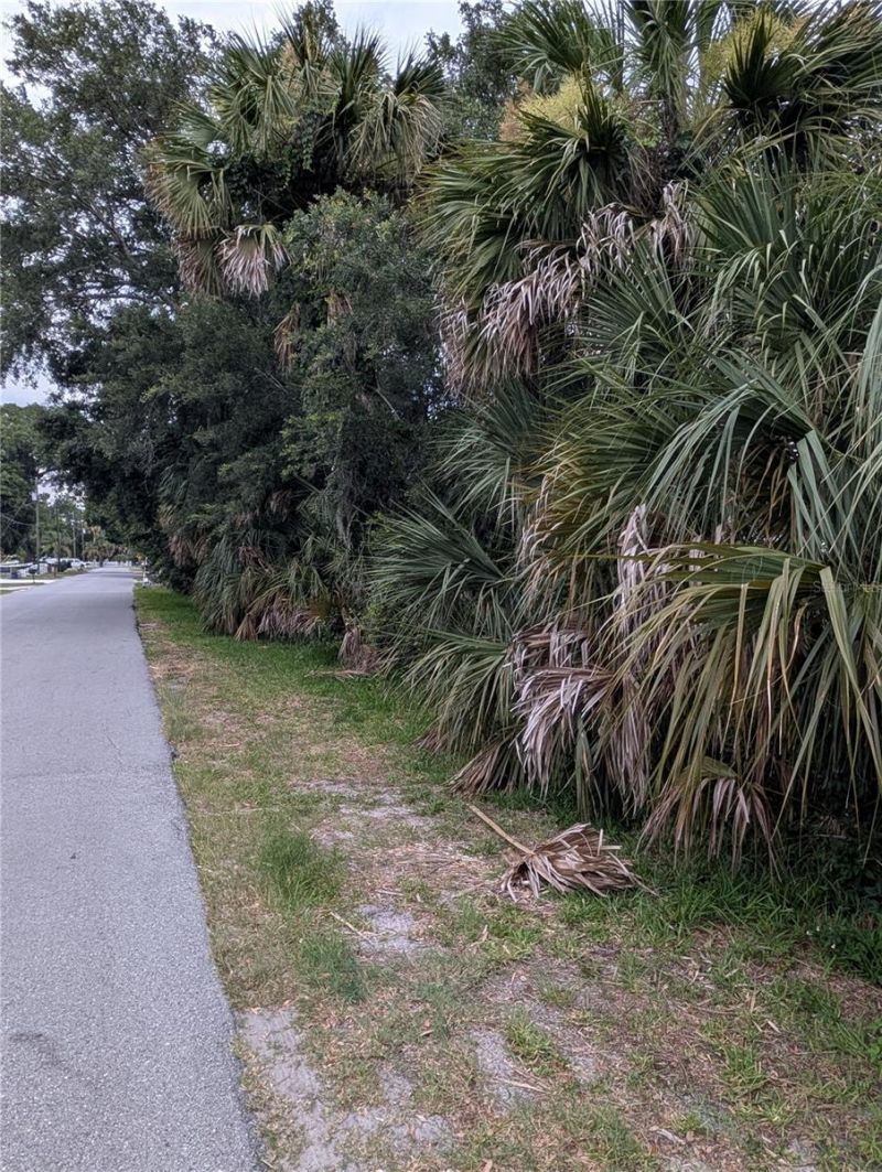 Please Call For Address, Weeki Wachee, FL 34607 Photo