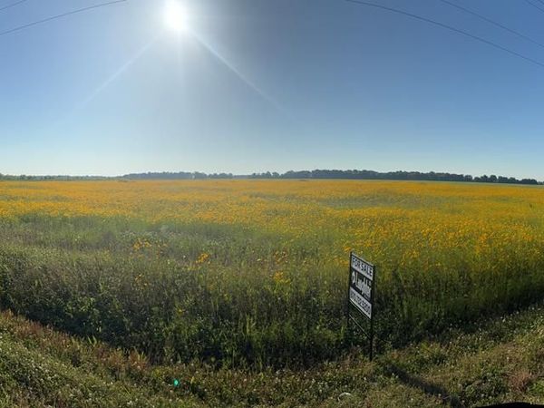 406 S Mcneely Road, Marion, AR 72364