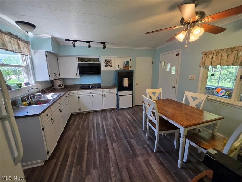 678 W Martin Street, East Palestine, OH 44413 Photo 5