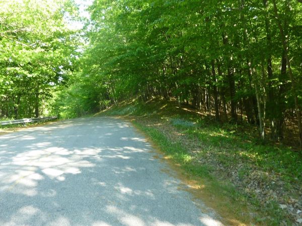Point Betsie Road, Frankfort, MI 49635