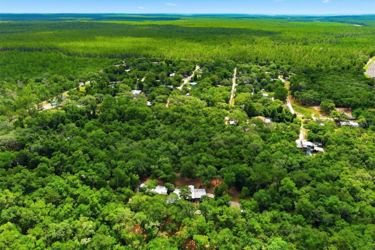 16274 NE 153rd Lane, Fort Mc Coy, FL 32134 Photo