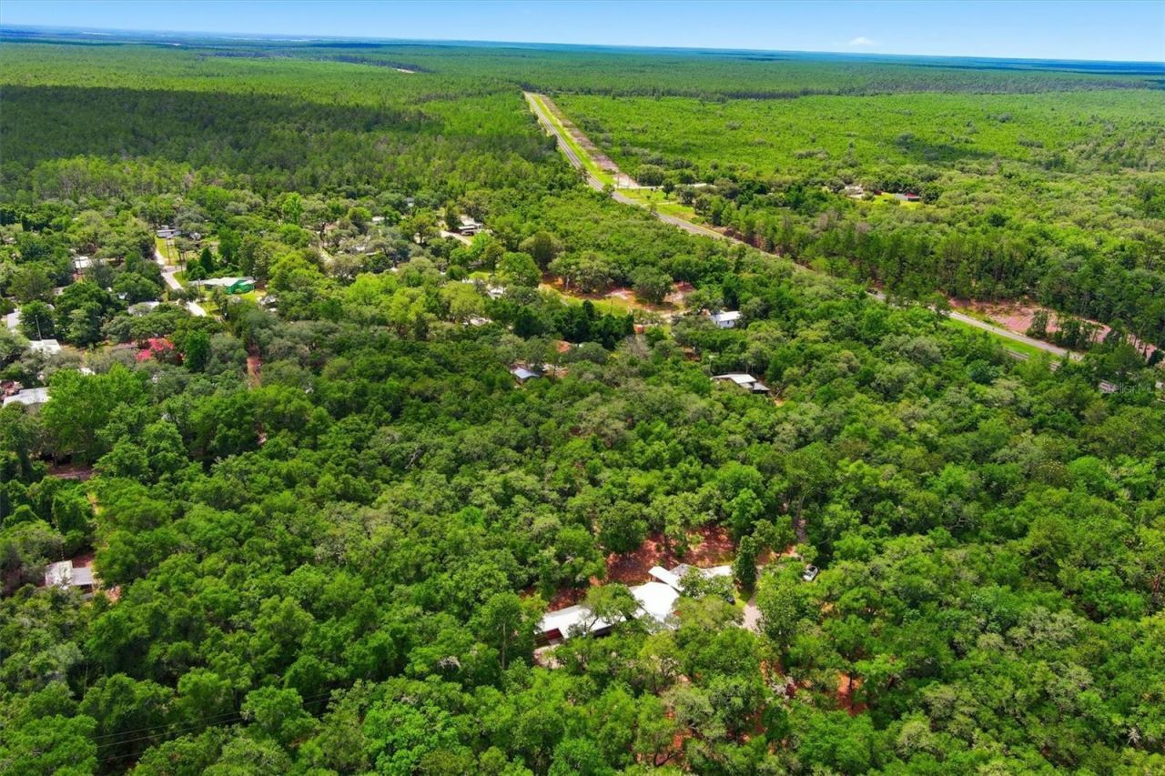 16274 NE 153rd Lane, Fort Mc Coy, FL 32134 Photo
