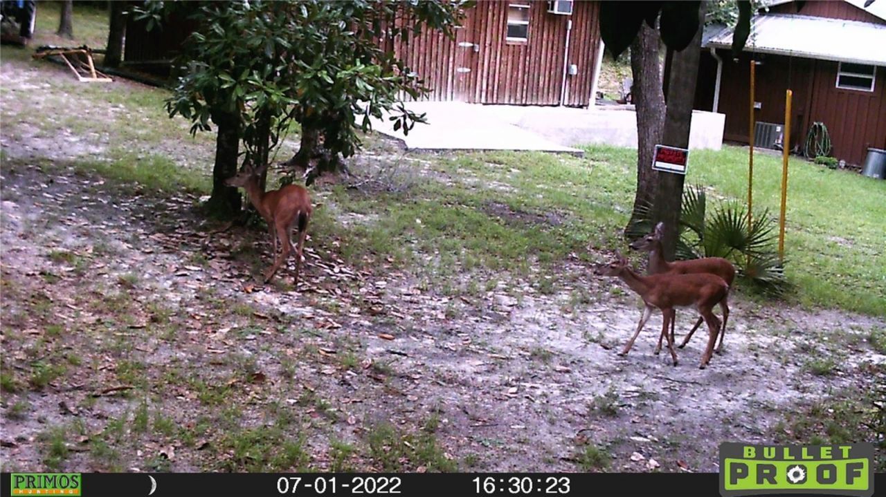 16274 NE 153rd Lane, Fort Mc Coy, FL 32134 Photo