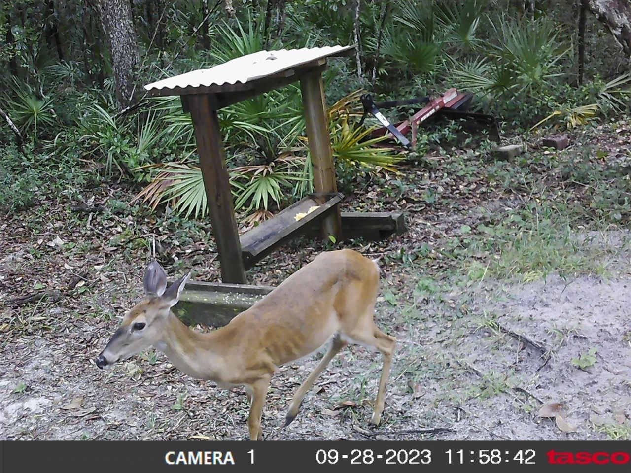 16274 NE 153rd Lane, Fort Mc Coy, FL 32134 Photo