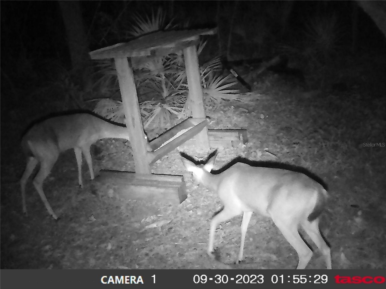 16274 NE 153rd Lane, Fort Mc Coy, FL 32134 Photo