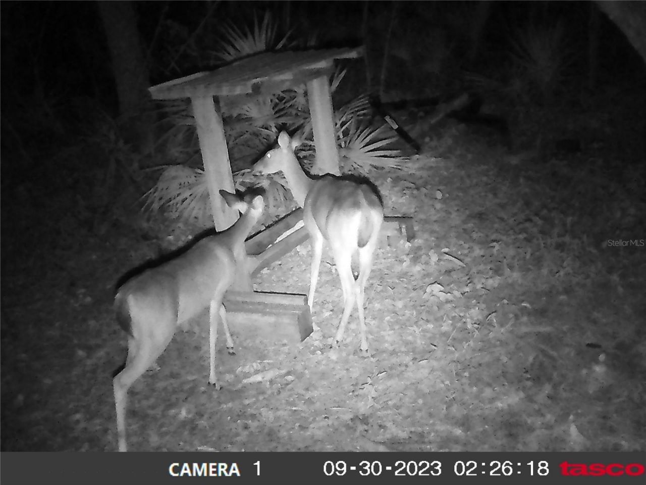 16274 NE 153rd Lane, Fort Mc Coy, FL 32134 Photo
