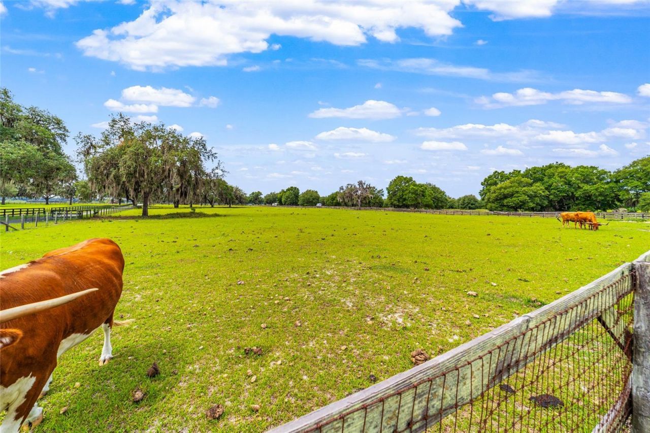 2285 W Highway 318 , Citra, FL 32113 Photo
