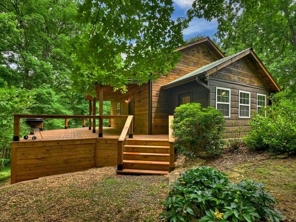 665 Shady Lane, Mineral Bluff, GA 30559