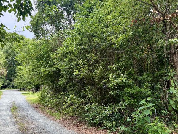 2607 RED ARROW Road , Tallahassee, FL 32301