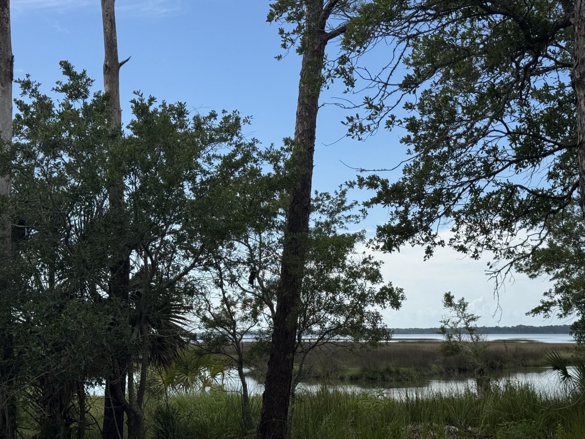 1272 Angus Morrison Road , Alligator Point, FL 32346 Photo