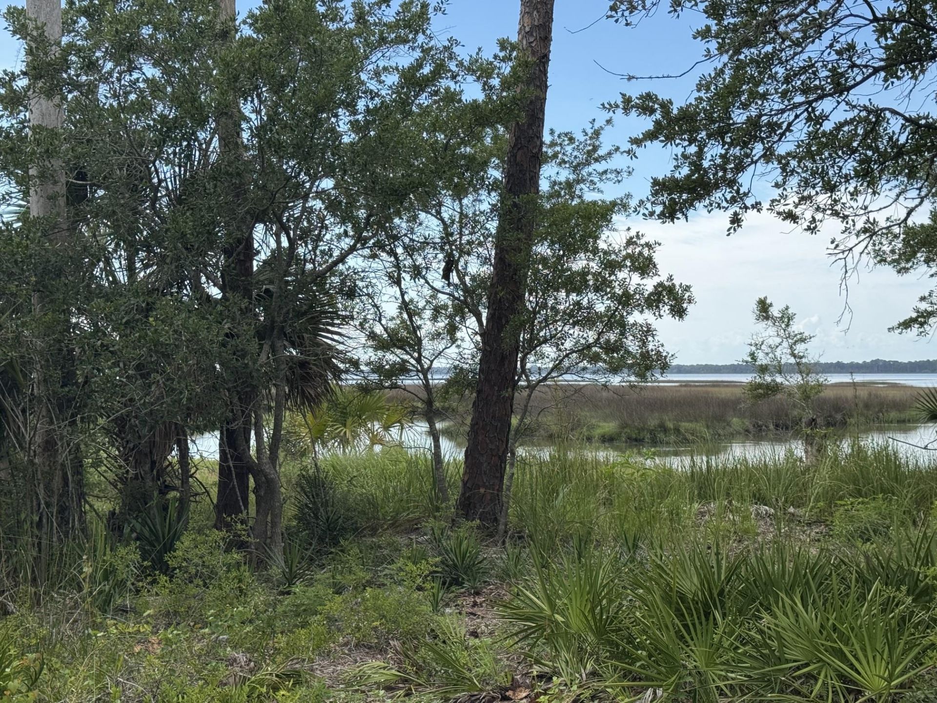 1272 Angus Morrison Road , Alligator Point, FL 32346 Photo