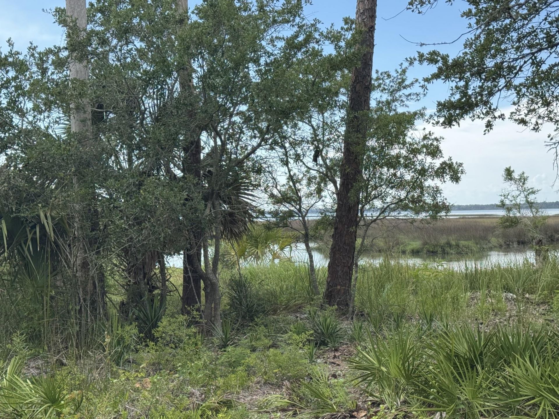 1272 Angus Morrison Road , Alligator Point, FL 32346 Photo