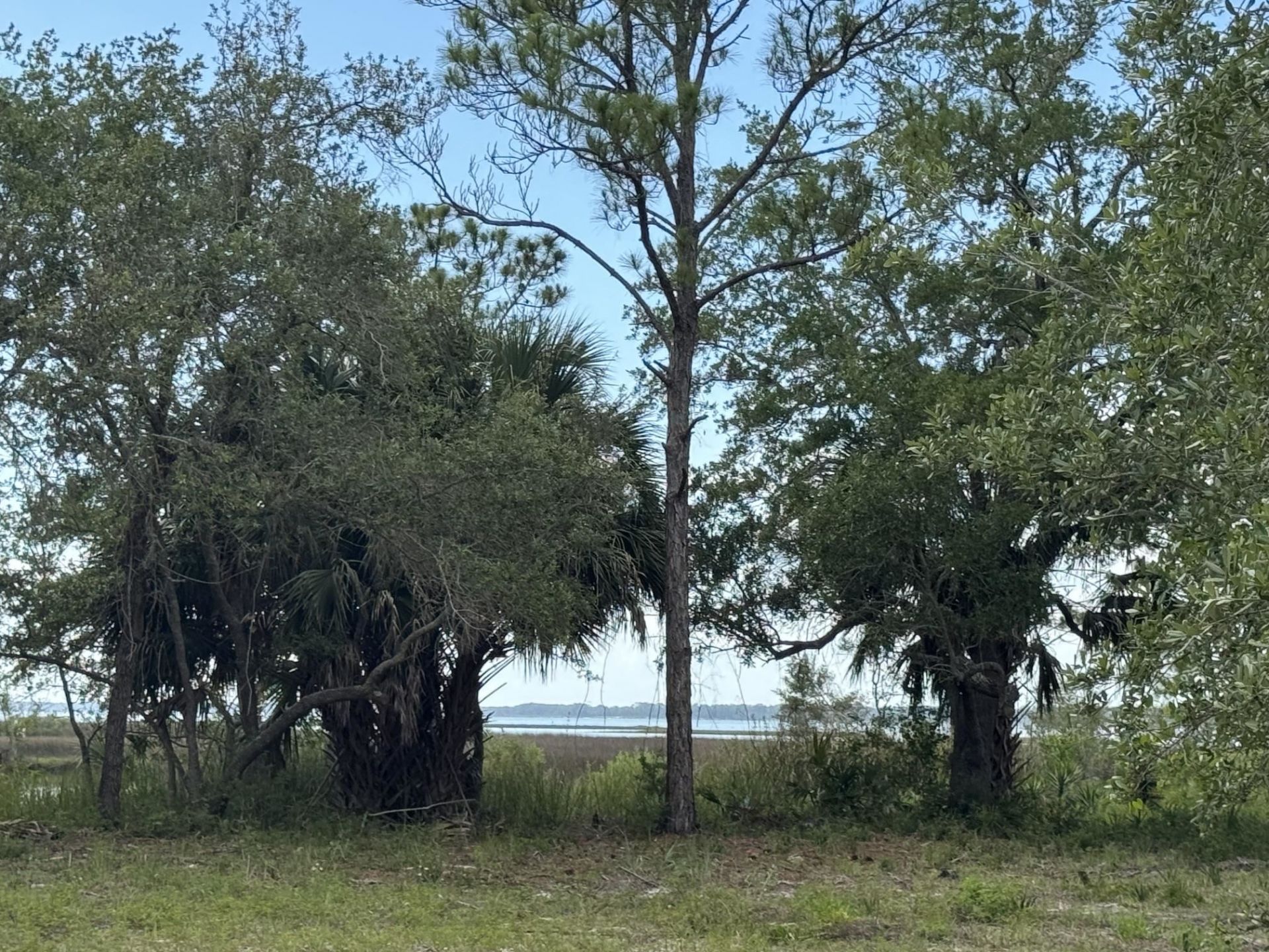 1272 Angus Morrison Road , Alligator Point, FL 32346 Photo