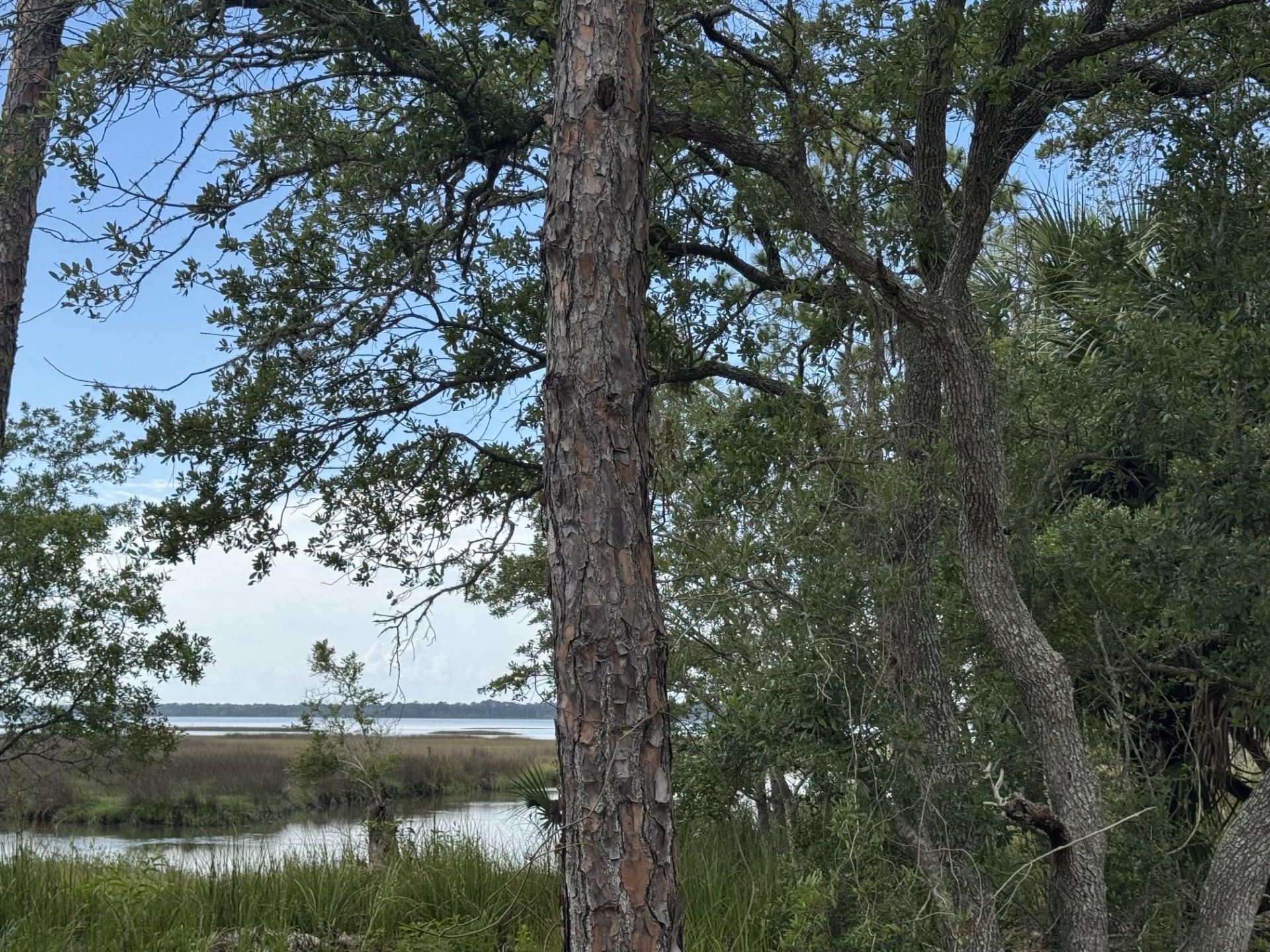 1272 Angus Morrison Road , Alligator Point, FL 32346 Photo