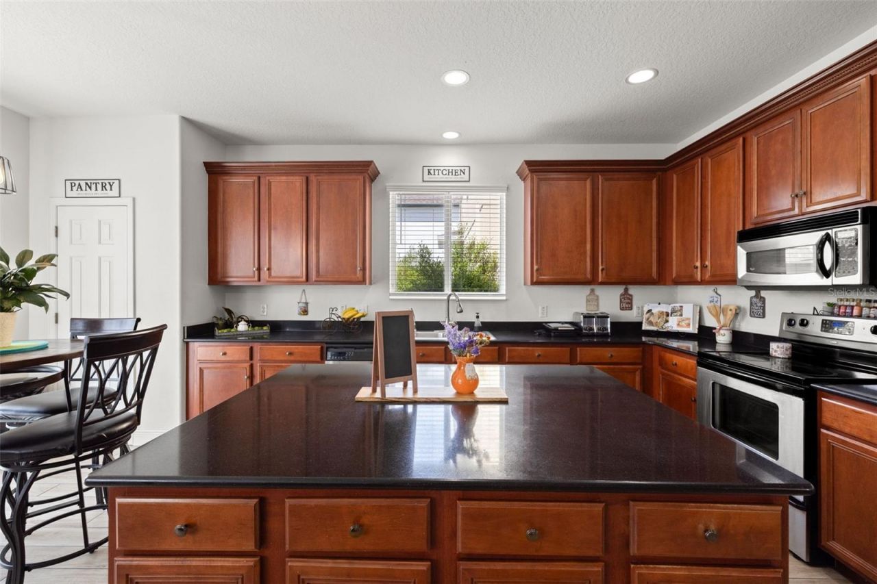 17535 Balmaha Drive , Land O Lakes, FL 34638 Photo
