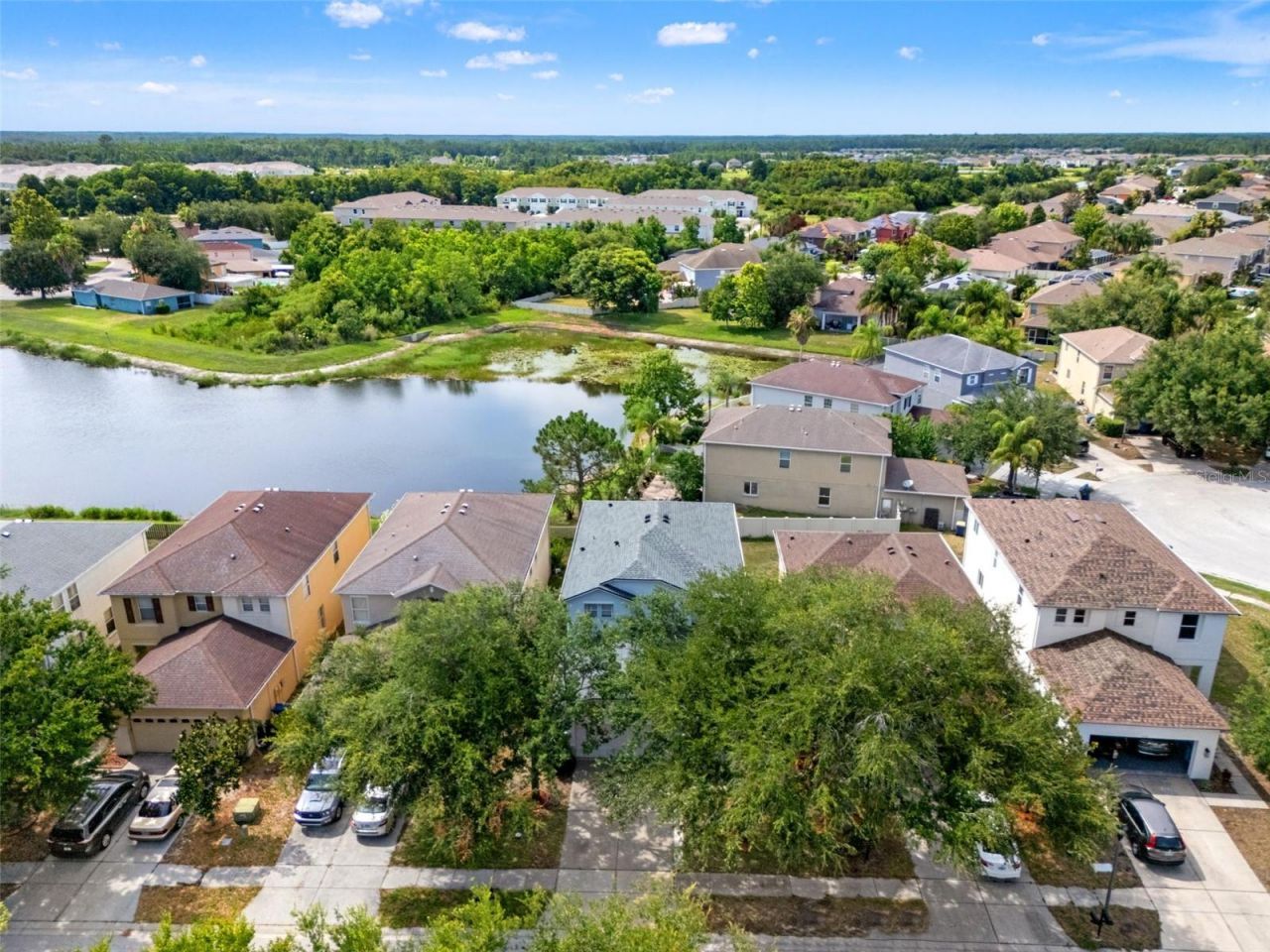 17535 Balmaha Drive , Land O Lakes, FL 34638 Photo