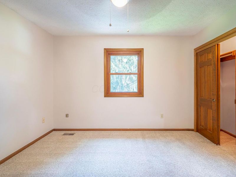 1191 Springtree Lane, Westerville, OH 43081 Photo 43