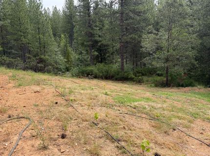 1871 Iowa Hill Rd, Colfax, CA 95713 Photo