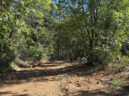 1871 Iowa Hill Rd, Colfax, CA 95713 Photo