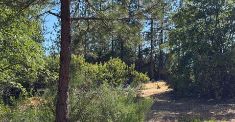1871 Iowa Hill Rd, Colfax, CA 95713 Photo