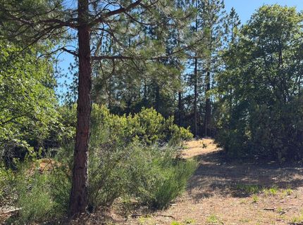 1871 Iowa Hill Rd, Colfax, CA 95713 Photo