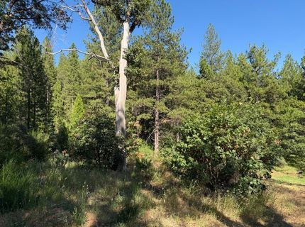 1871 Iowa Hill Rd, Colfax, CA 95713 Photo