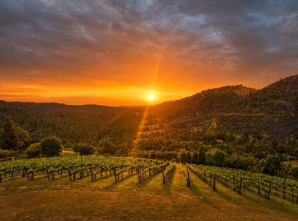 7201 Happy Valley Rd, Somerset, CA 95684 Photo