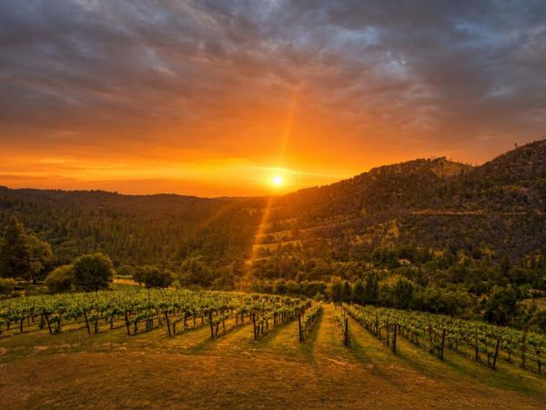 7201 Happy Valley Rd, Somerset, CA 95684