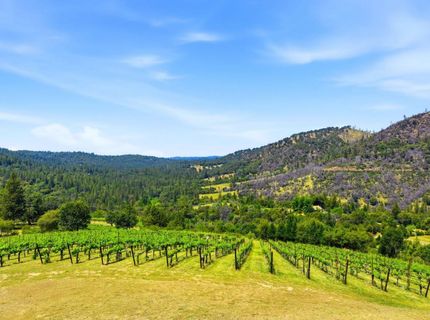 7201 Happy Valley Rd, Somerset, CA 95684 Photo