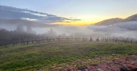 7201 Happy Valley Rd, Somerset, CA 95684 Photo