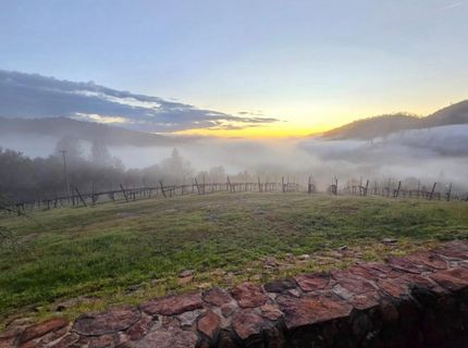 7201 Happy Valley Rd, Somerset, CA 95684 Photo