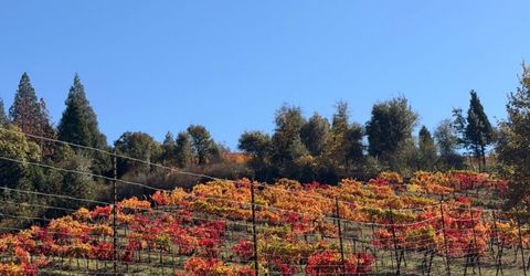 7201 Happy Valley Rd, Somerset, CA 95684 Photo
