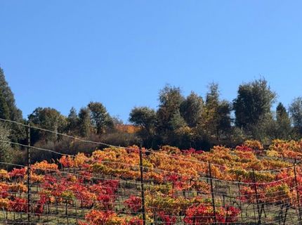 7201 Happy Valley Rd, Somerset, CA 95684 Photo