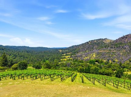 7201 Happy Valley Rd, Somerset, CA 95684 Photo