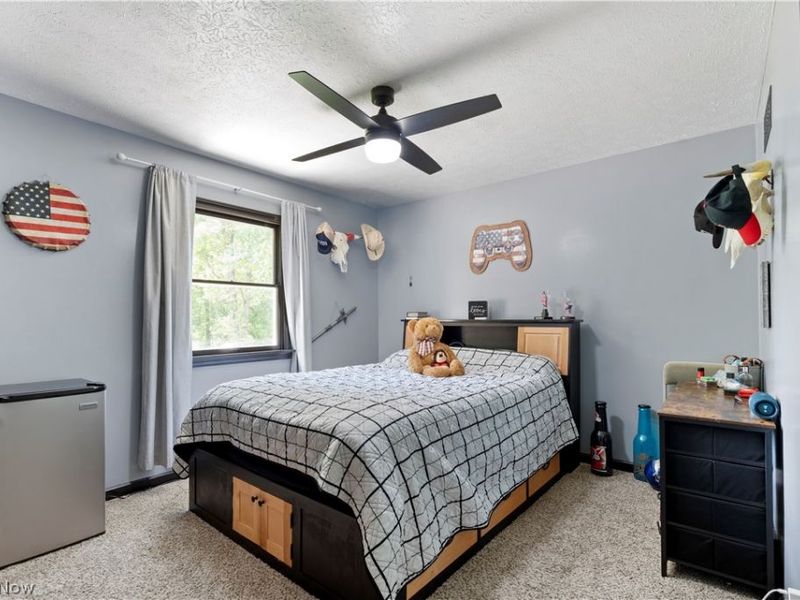 1139 Bristol Champion Townline Road NW, Champion, OH 44402 Photo 14